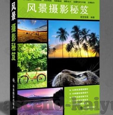 森林舞会 电脑版-森林舞会，电脑版上的自然韵律与数字交响